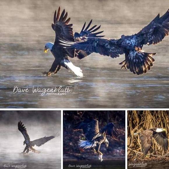joyce_conklin